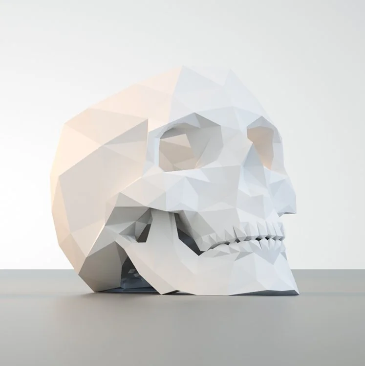 Skull Planter Product Design & Digital Fabrication Designed and developed a low-poly planter through digital modeling and fabrication workfl